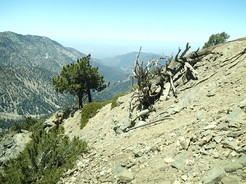 2014 Mt Baldy Cali 122.JPG - Summit Mt San Antonio (Mt Baldy) California